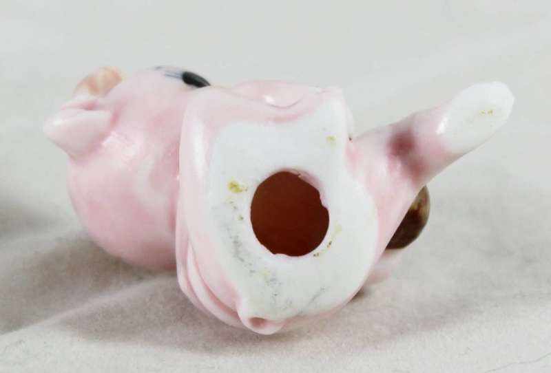 Small pig playing a lyre