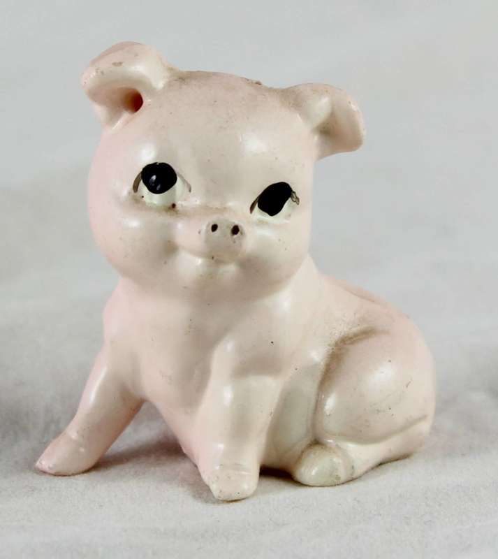 Plastic pig looking up