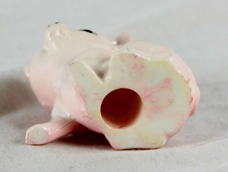 Plastic pig looking up