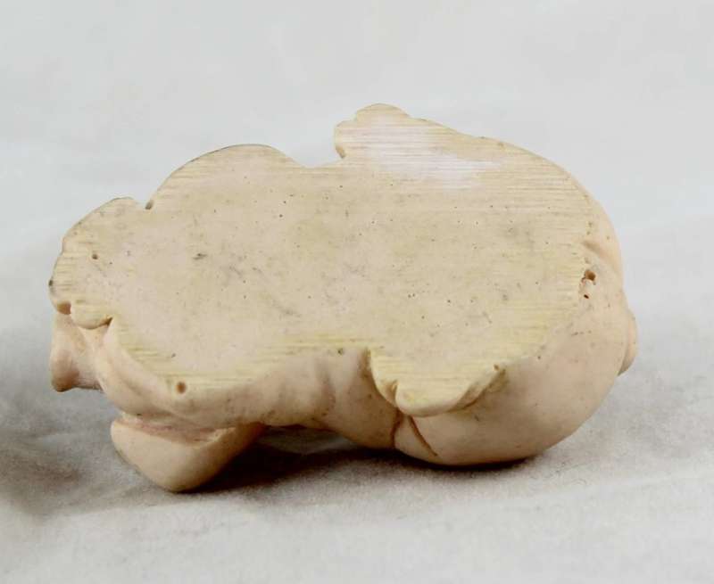 Pig laying down and peaking