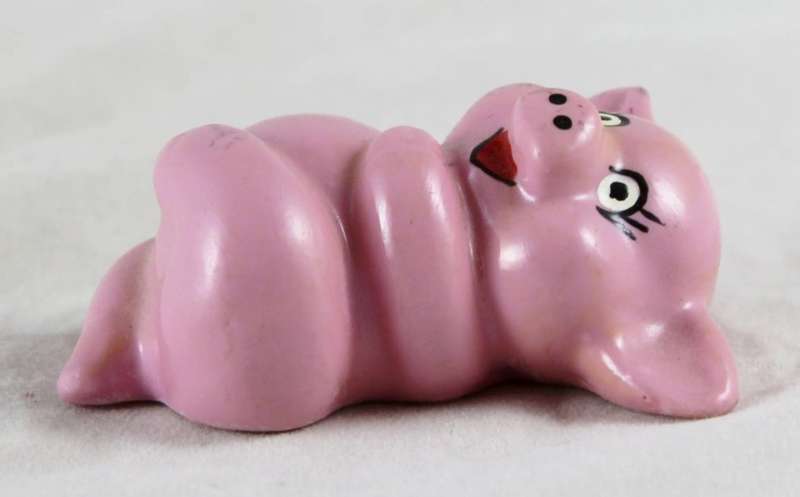 Girl pig laying on her back