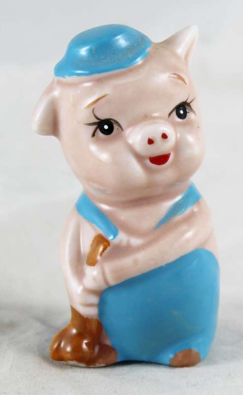 Little janitor pig