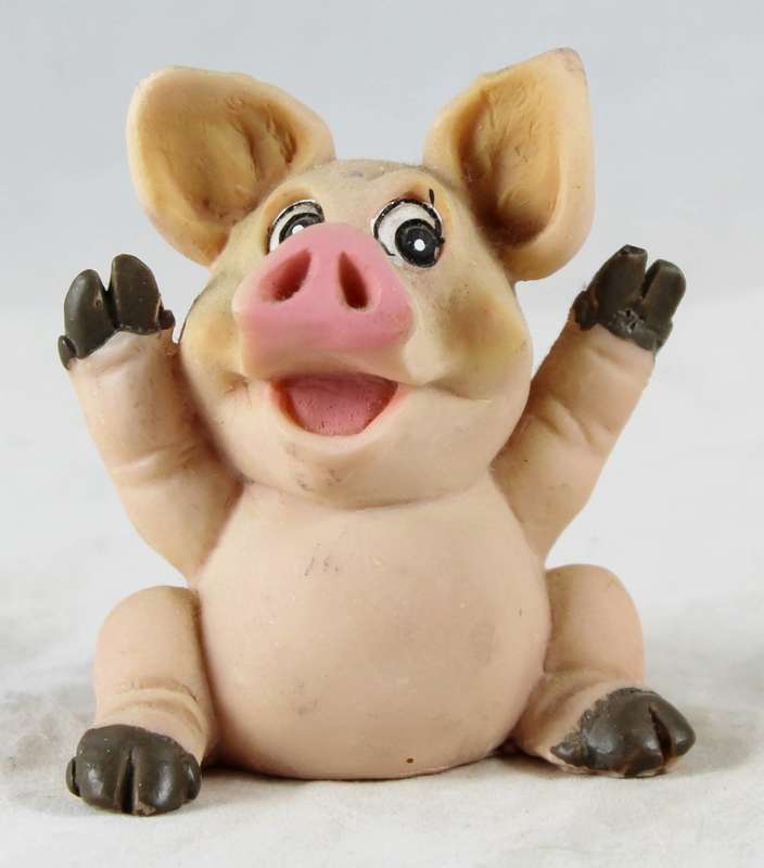 Surprised pig