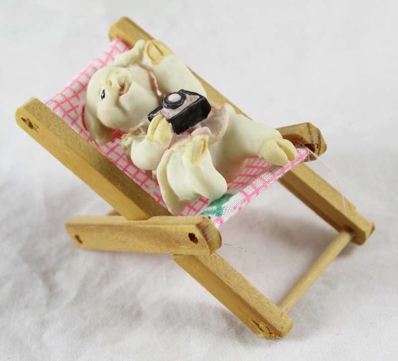 Pig with a camera - relaxing on beach chair