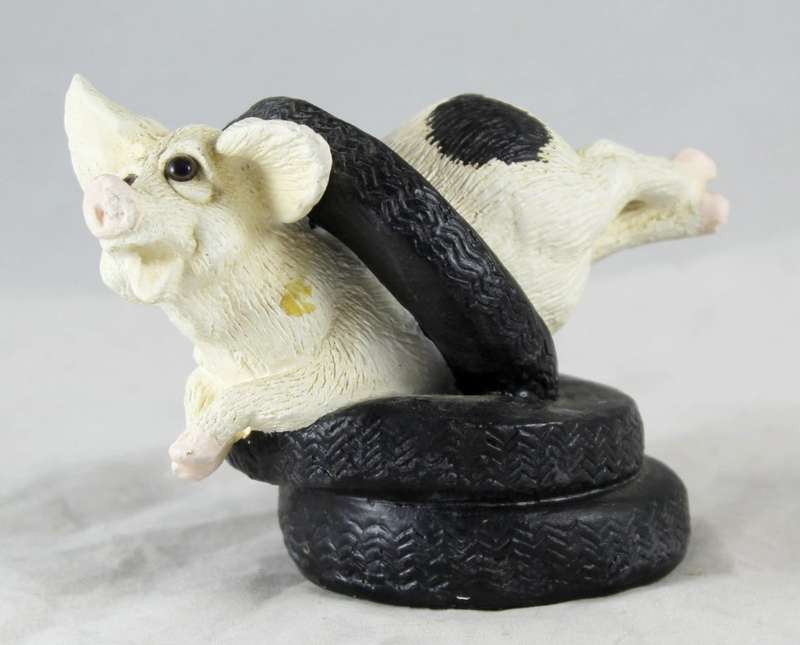 White & black pig - playing with tires