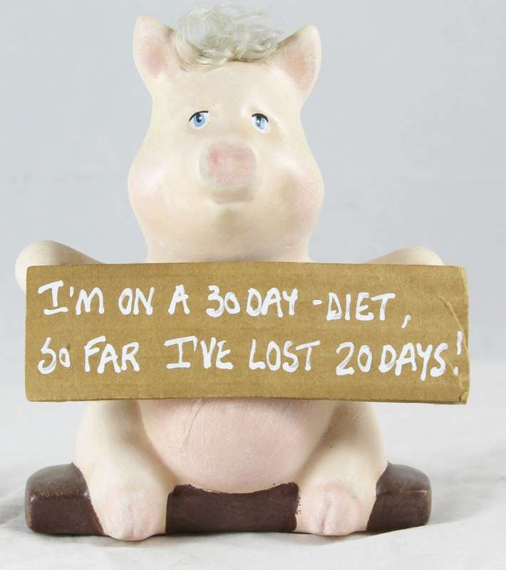Pig holding funny sign