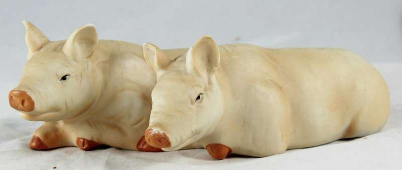 Pigs laying down - joined pigs