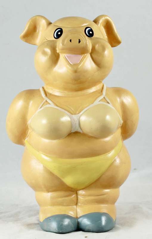 Pig in underwear - money bank