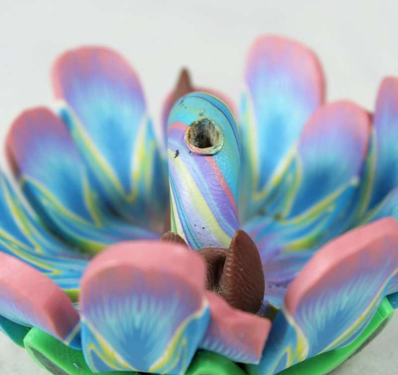 Miniature Snail on Leaf - Gorgeous!