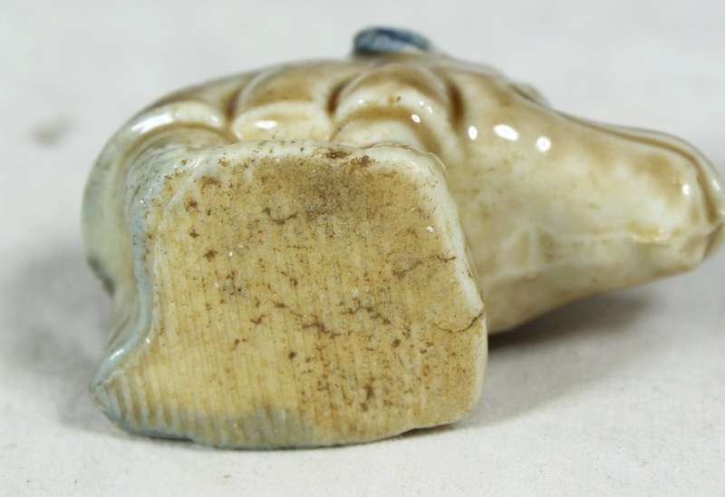 Wade - Asian Rhino - Gorgeous!