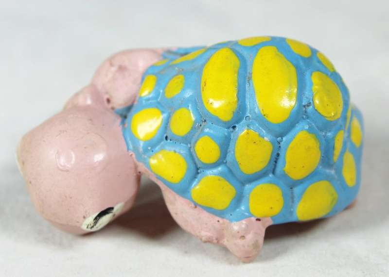Miniature Tortoise Laying Down - Gorgeous!