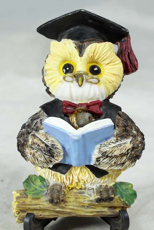 fridge magnet - Professor Owl