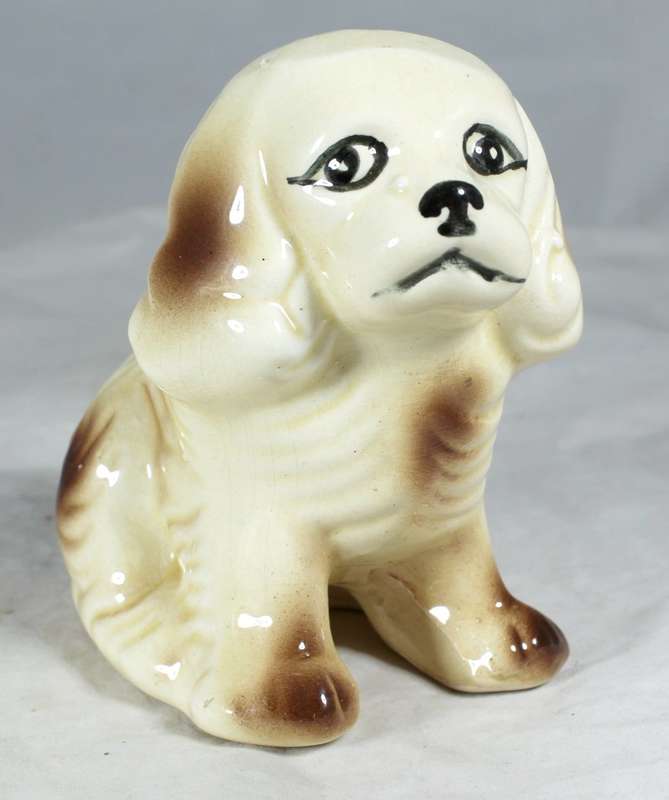 Spaniel puppy