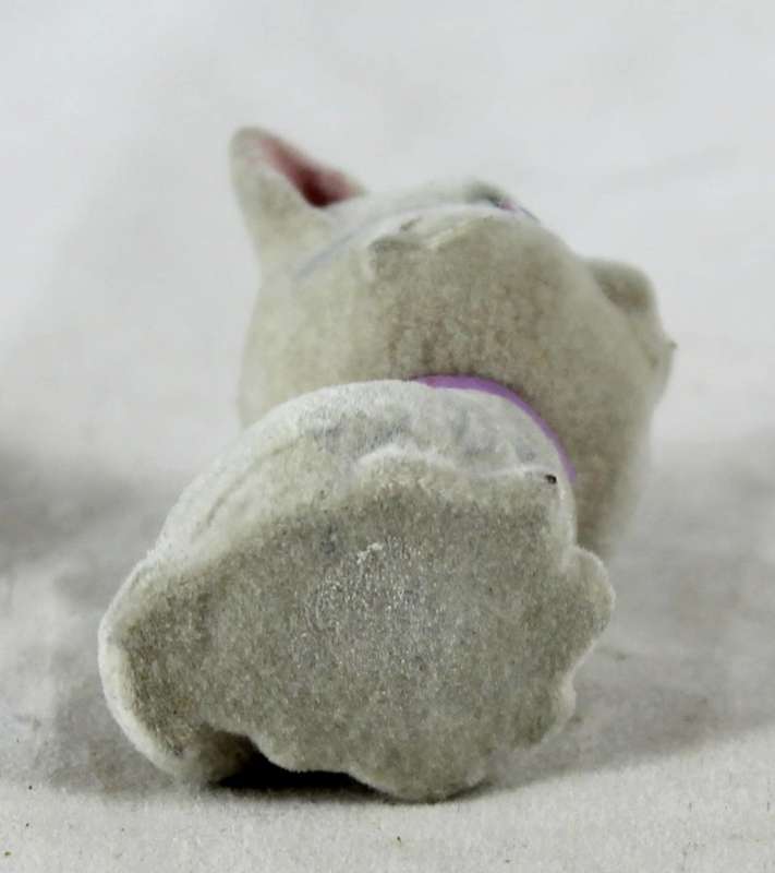 Miniature suede kitten with purple collar