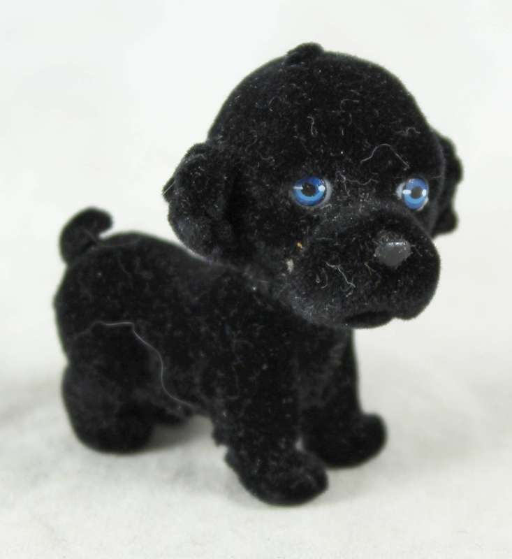 Miniature suede black puppy