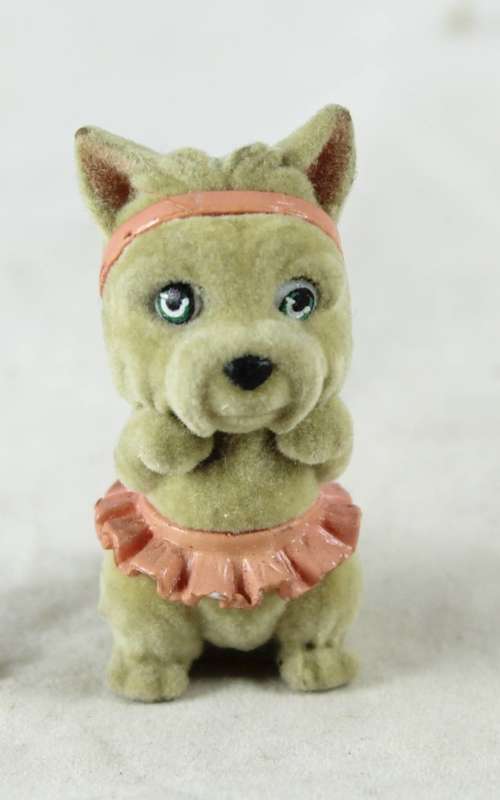 Miniature suede puppy with tutu
