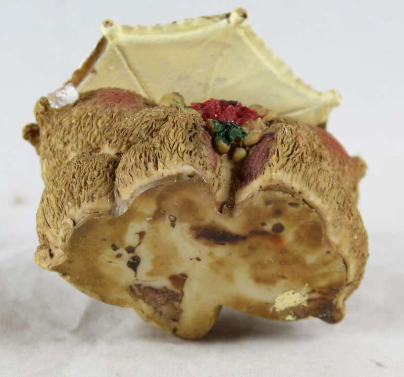 Two bears under umbrella - holding roses