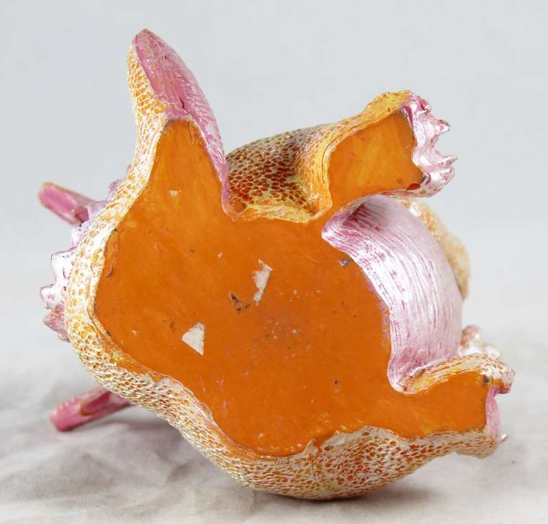 Pink Baby Dragon - Beautiful!