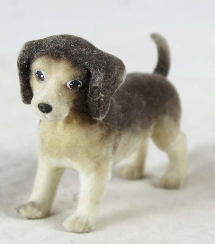 Suede puppy with long ears