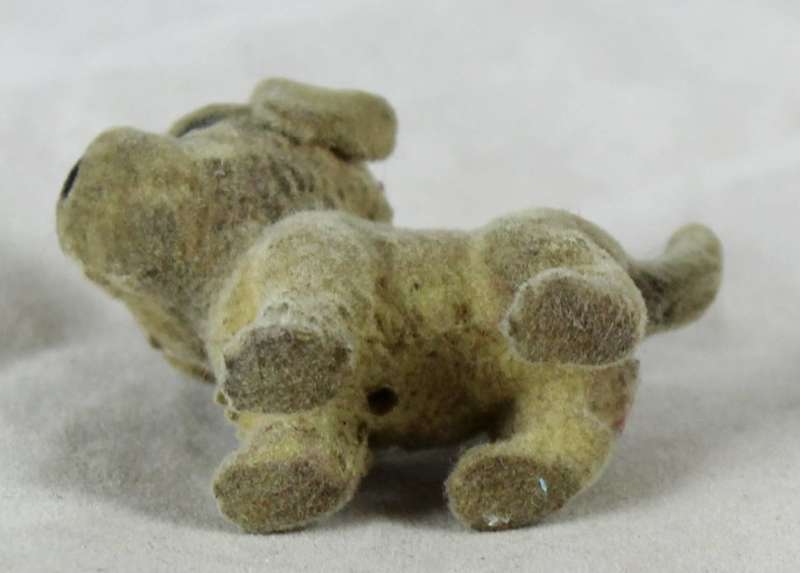 Suede Puppy