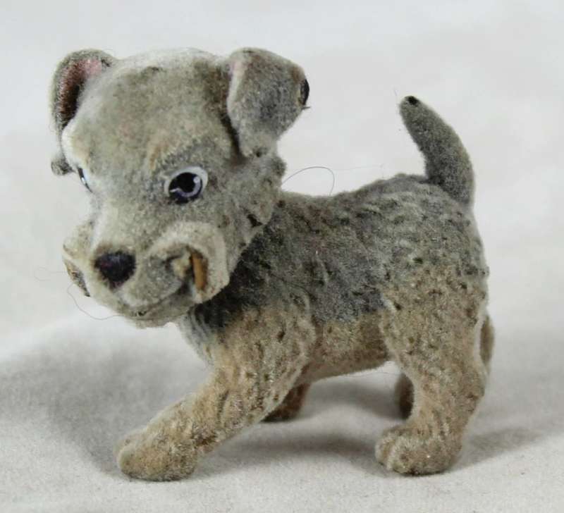 Suede smiling puppy