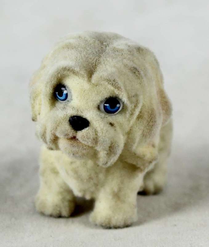 Suede Maltese puppy