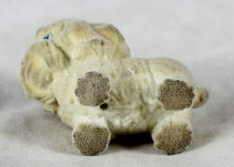 Suede Maltese puppy