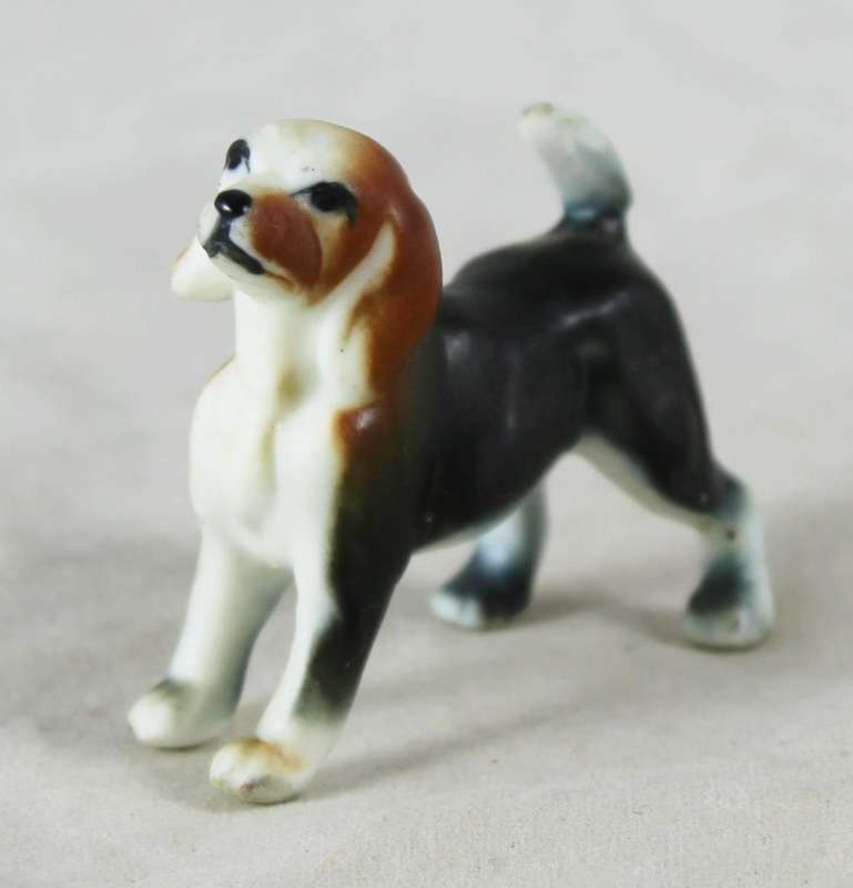 Miniature Dog - Gorgeous!