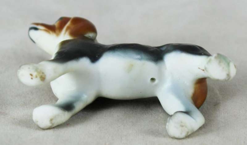 Miniature Dog - Gorgeous!