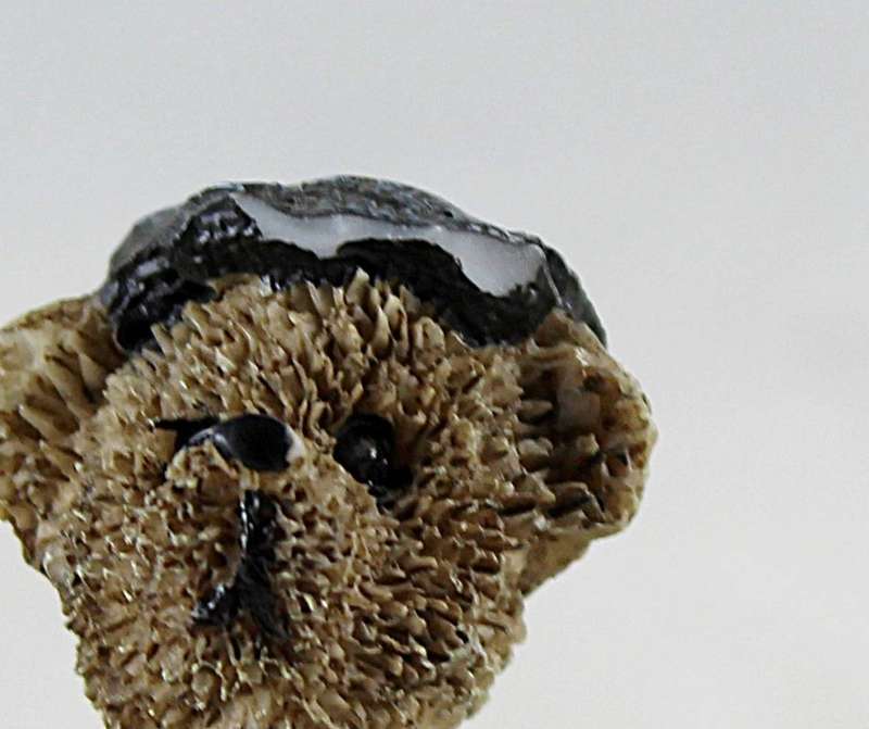 Bear in Rags