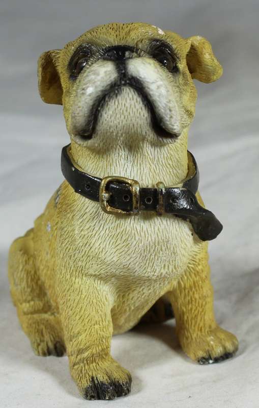 Bulldog puppy seated