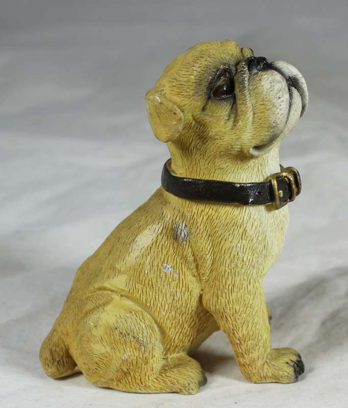 Bulldog puppy seated