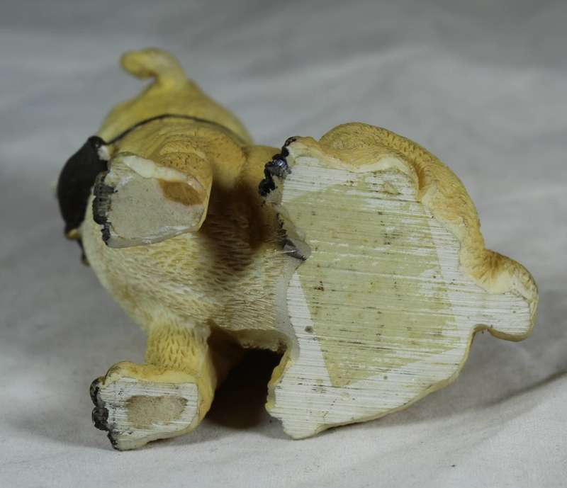 Bulldog puppy seated