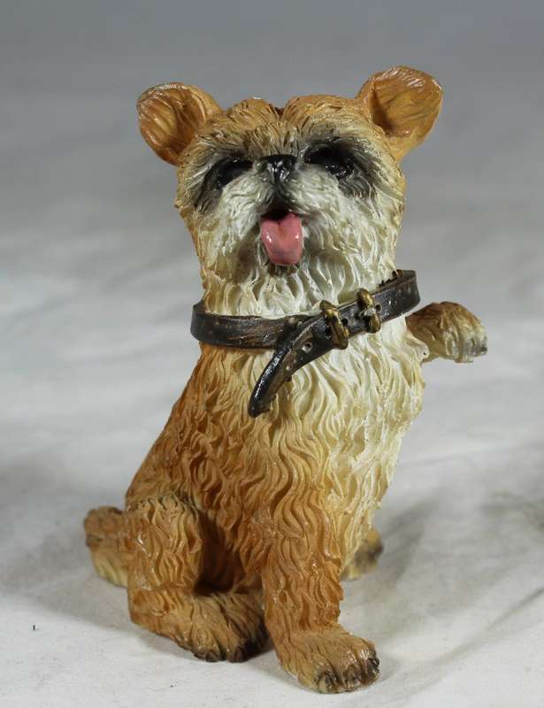 Yorkie begging
