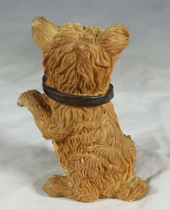 Yorkie begging