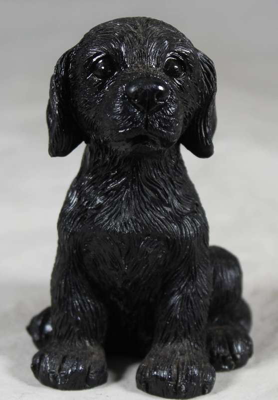 seated black puppy