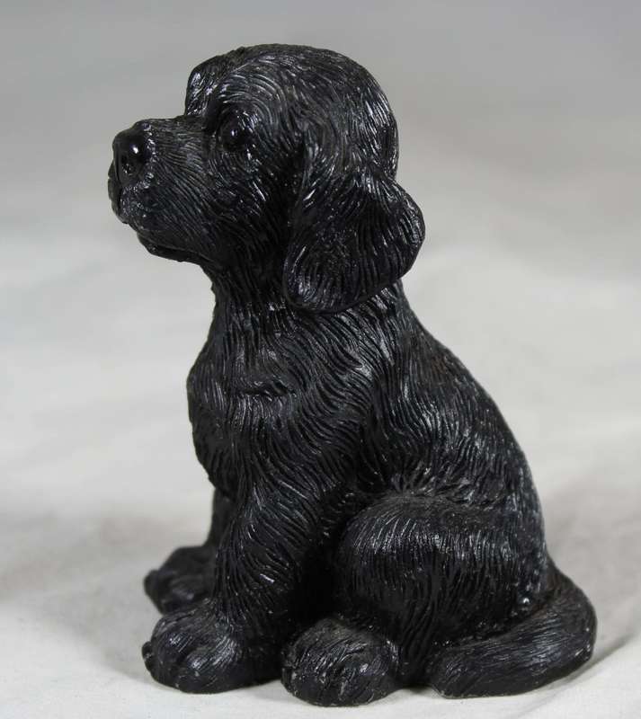 seated black puppy