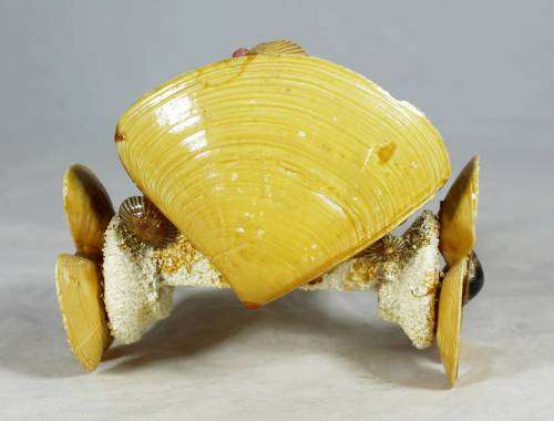 Shell Rickshaw