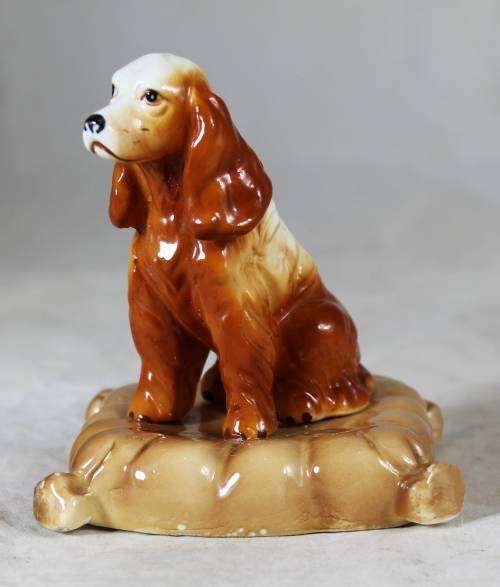 Cocker spaniel on a cushion