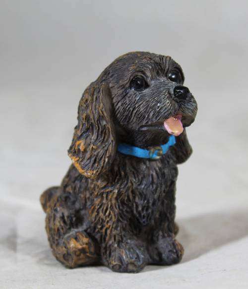 Small seated puppy