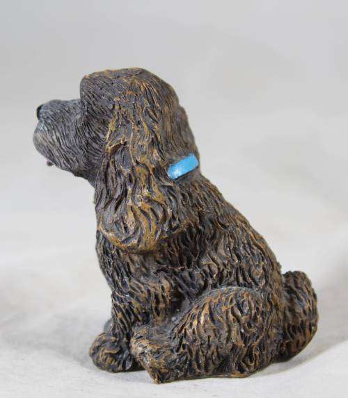 Small seated puppy