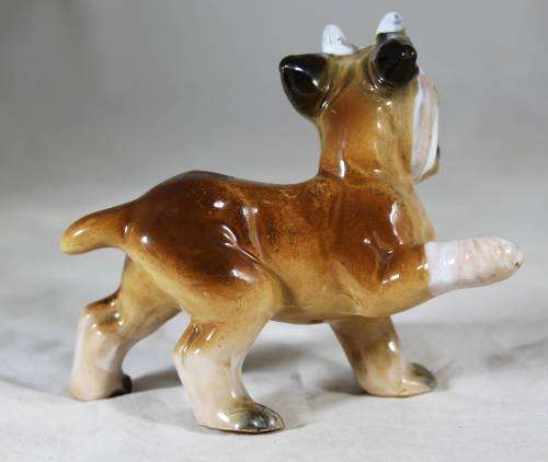 Porcelain boxer puppy with a bandaged foot