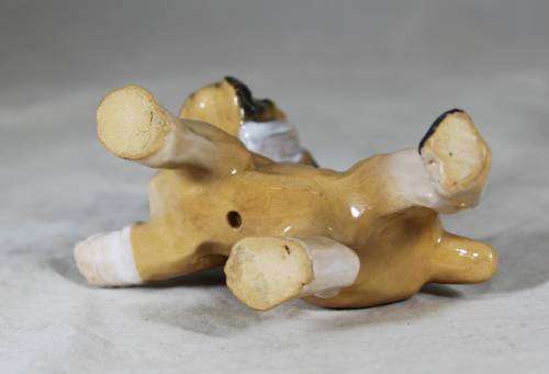 Porcelain boxer puppy with a bandaged foot