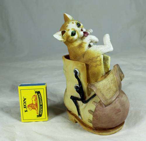 Cat in a Large Shoe