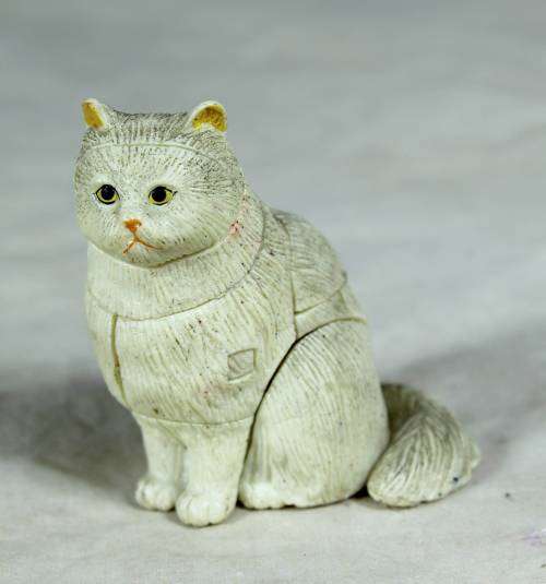 Assembled Cat - Bid Now!!