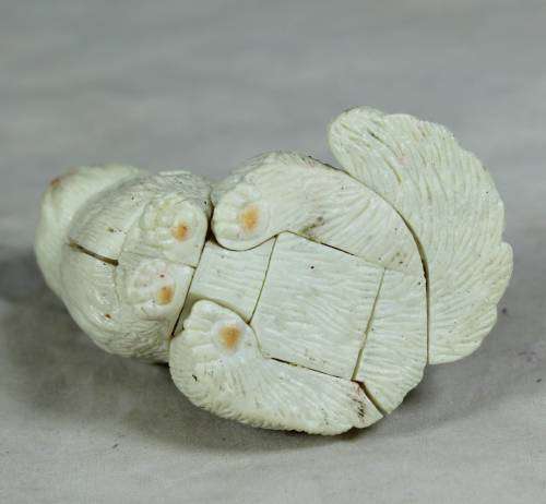 Assembled Cat - Bid Now!!