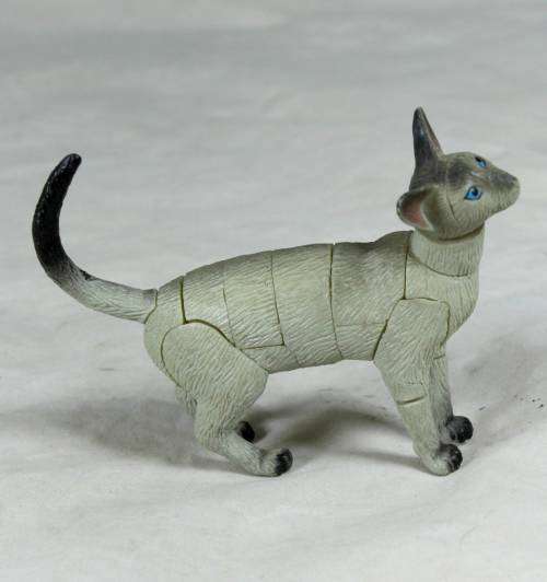 Assembled Cat