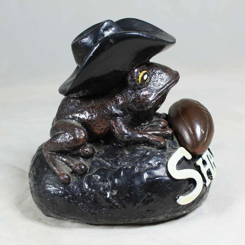 Sharks Frog  - Gorgeous!