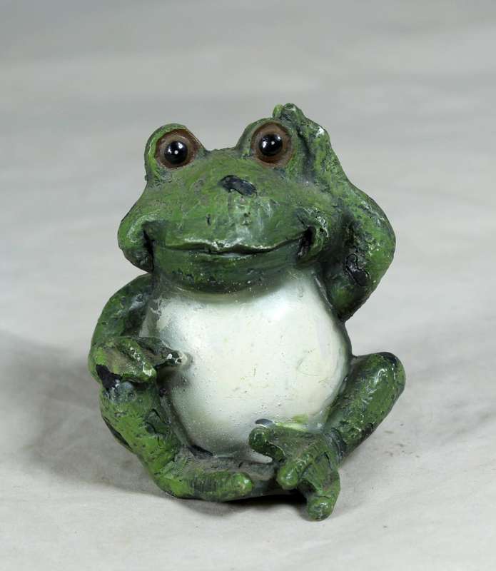 Frog with feet on ear