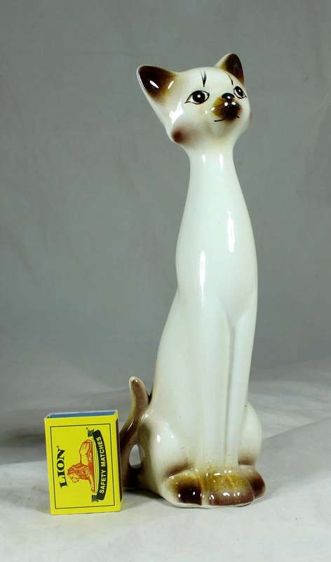 Slim seated brown cat